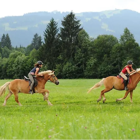 Apartamento In Salzburger Land 375 *